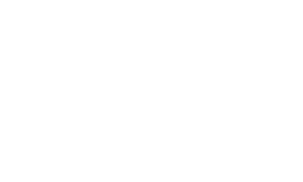 Patricia Amy Bolin, LLC Certified Public Accountant