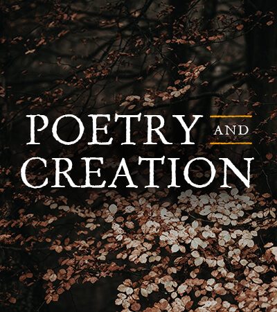 Poetry and Creation - Website Poster